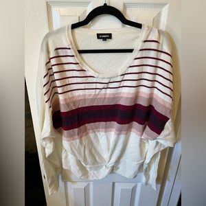 Express sweater size L